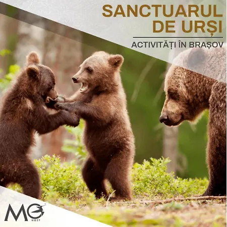 Апартаменты Mohost Noua 2 - Scenic Mountain Getaway *